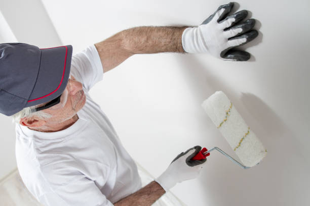 Best Industrial Mold Remediation  in New Ellenton, SC