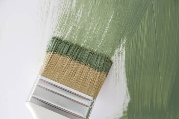 Best Mold Remediation for Healthcare Facilities  in New Ellenton, SC