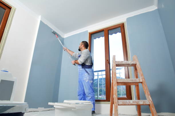 Best Mold Damage Restoration  in New Ellenton, SC