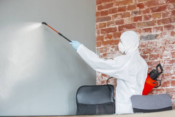 New Ellenton, SC Mold Removal Company