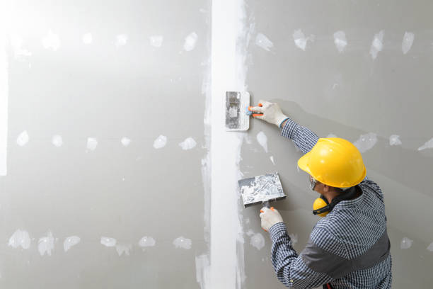 Best Mold Documentation for Insurance Claims  in New Ellenton, SC