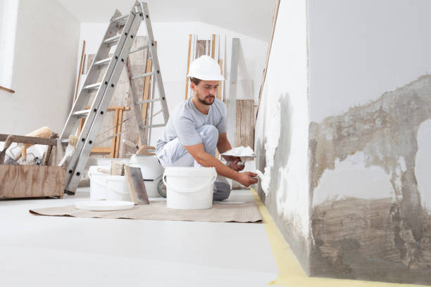 Best Post-Construction Mold Inspection  in New Ellenton, SC