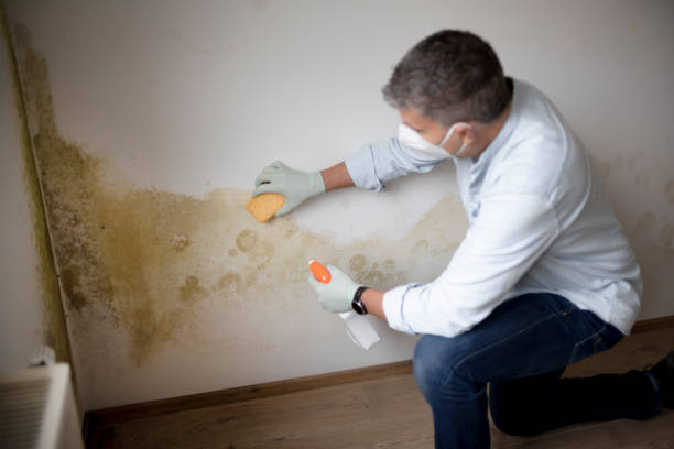 Best Air Quality Testing for Mold Spores  in New Ellenton, SC