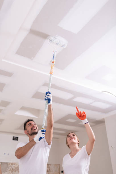 Best Attic Mold Removal  in New Ellenton, SC