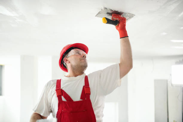 Forensic Mold Investigation in New Ellenton, SC