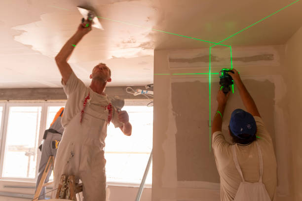 Best Commercial Mold Inspection  in New Ellenton, SC