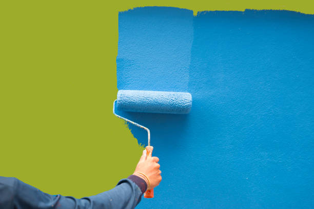 Environmental Consulting for Mold Prevention in New Ellenton, SC